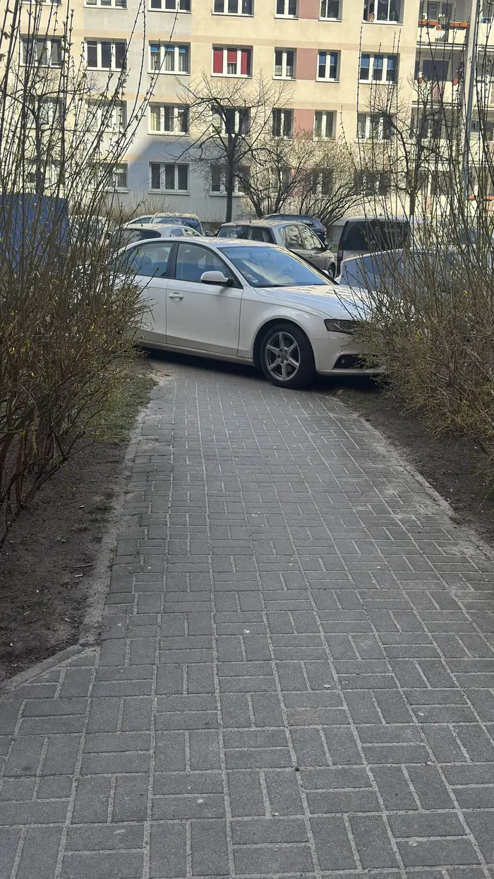 Pozdrawiam kierowcę bez mózgu, który zablokował przejście.