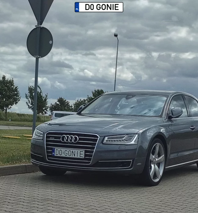 D0GONIE AUDI :)