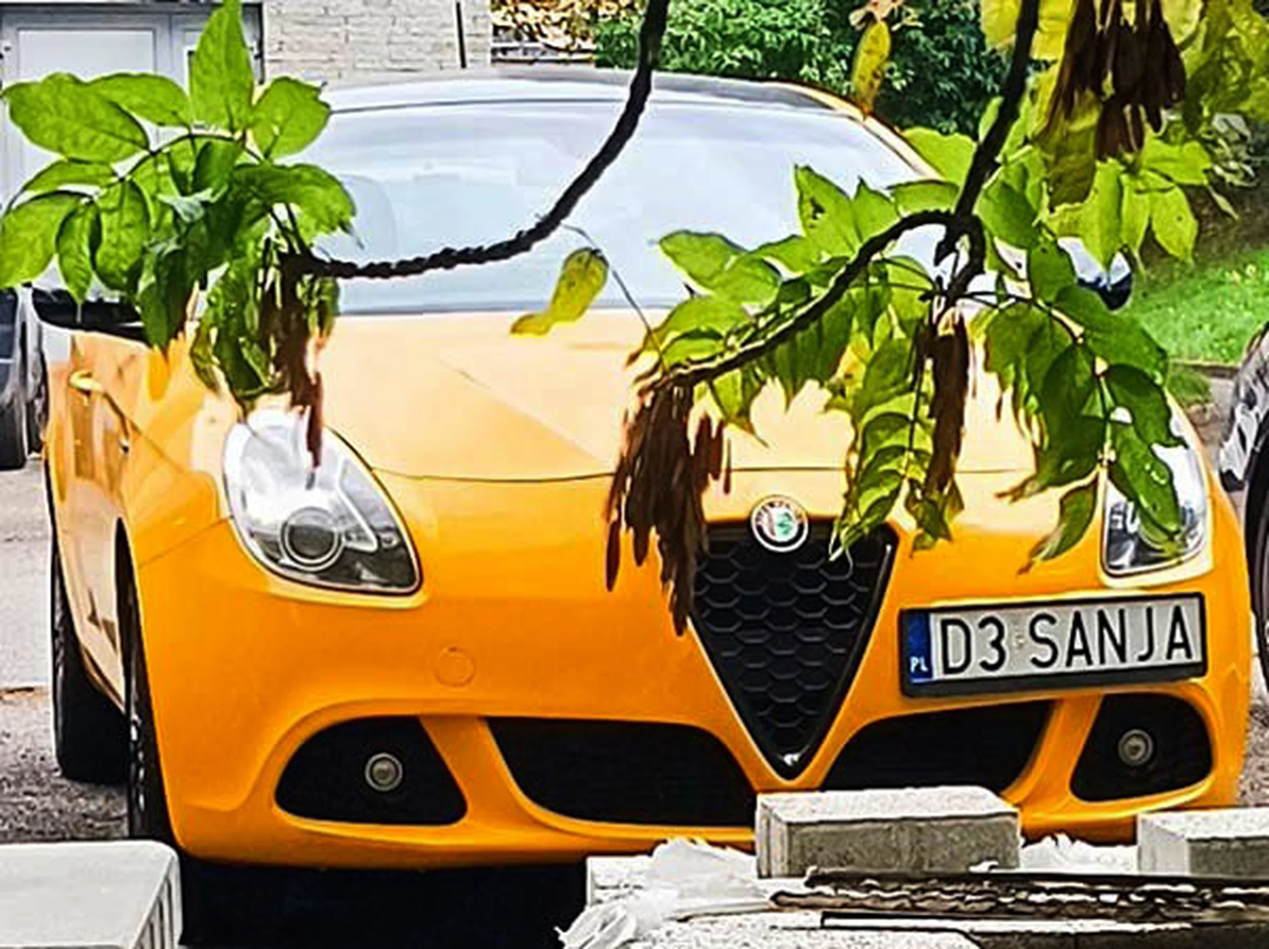 Fajny numer, blacha D3 SANJA