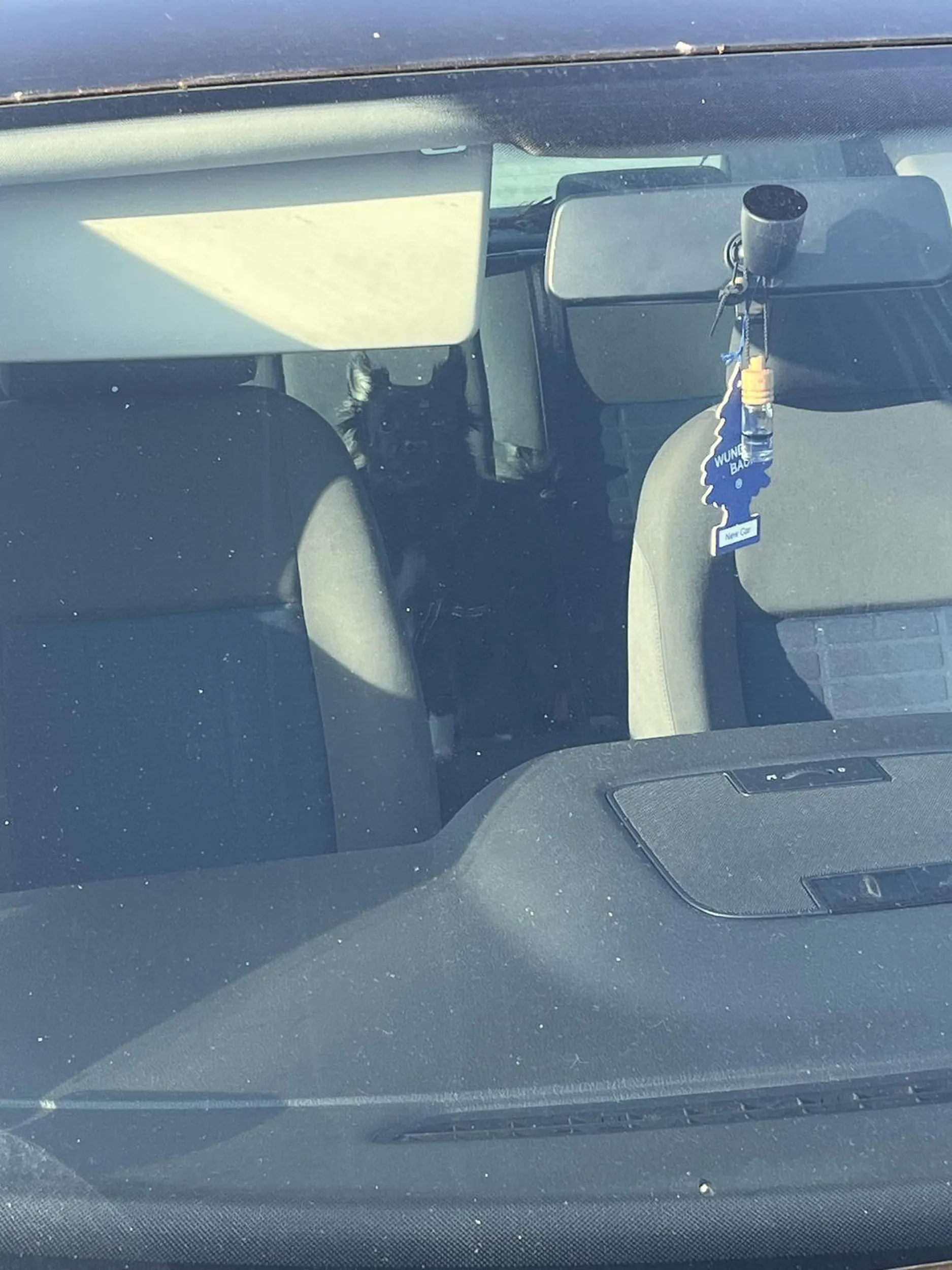 Zjeb genetyczny zostawia psa na 3 godziny w samochodzie