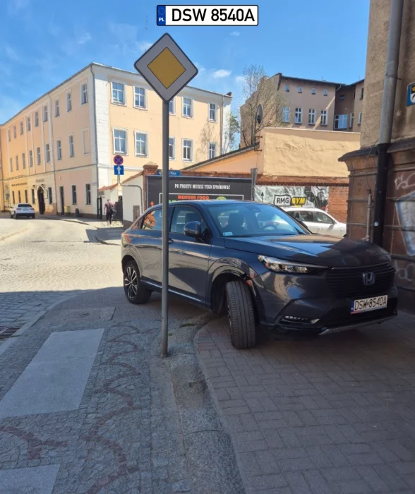 Myślał, że mu nie zrobię zdjęcia więc zrobiłem zupełnie za free.