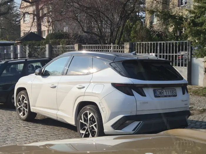 Typowy bezmózg. Zastawia wjazd na posesję i znika na cały dzień.