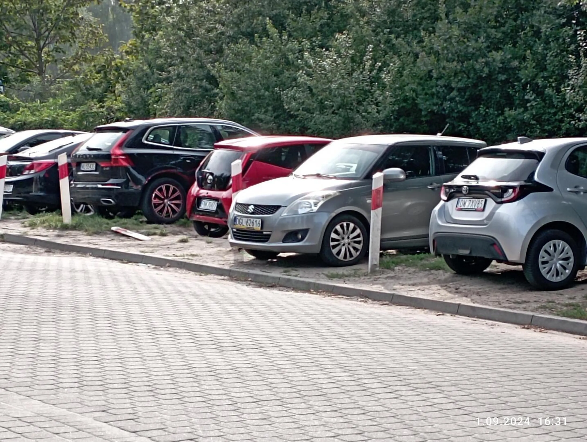 Wszyscy stoją,to i ja zaparkuję.Szkoda,że na zakazie .