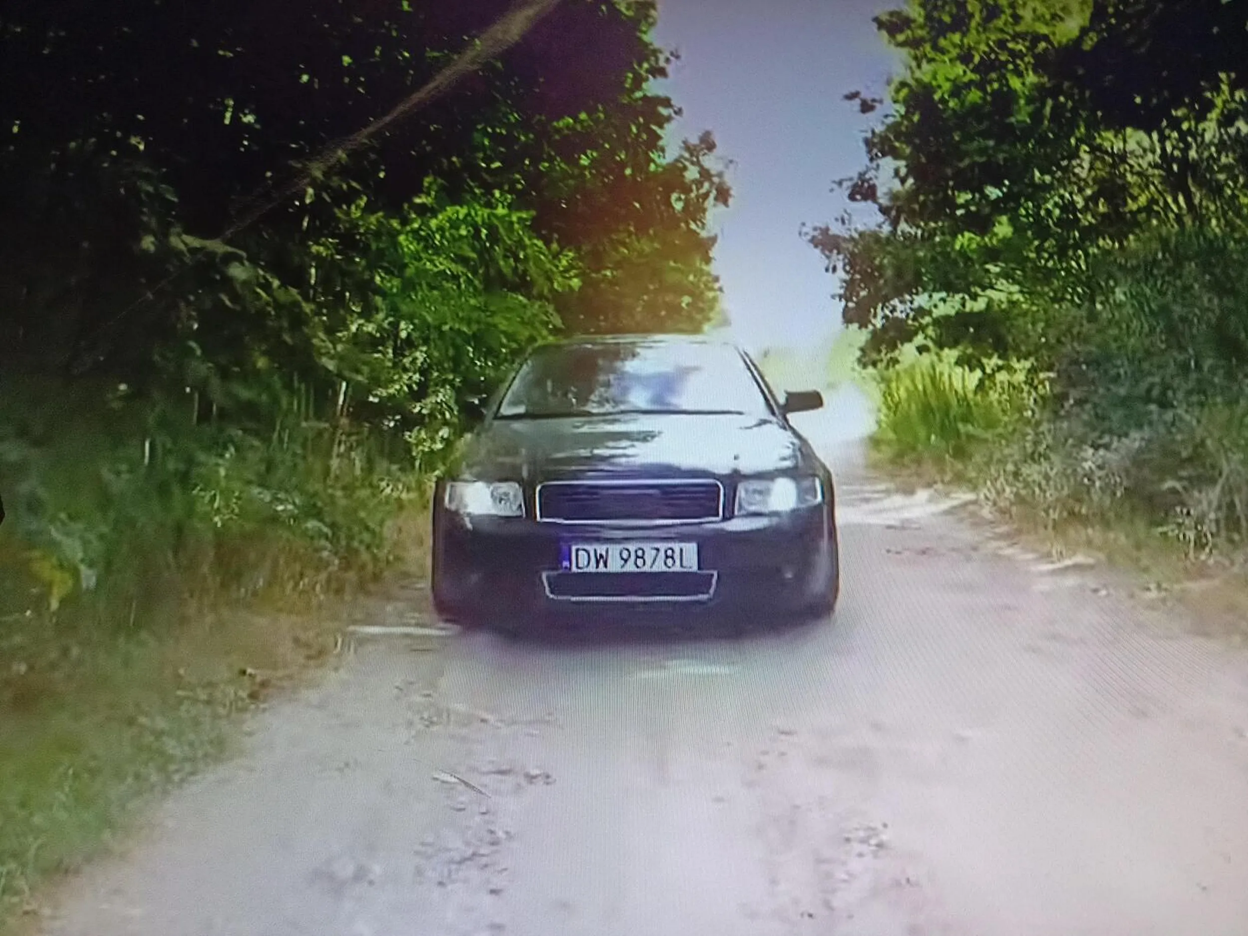 Oj Mariuszku, Mariuszku