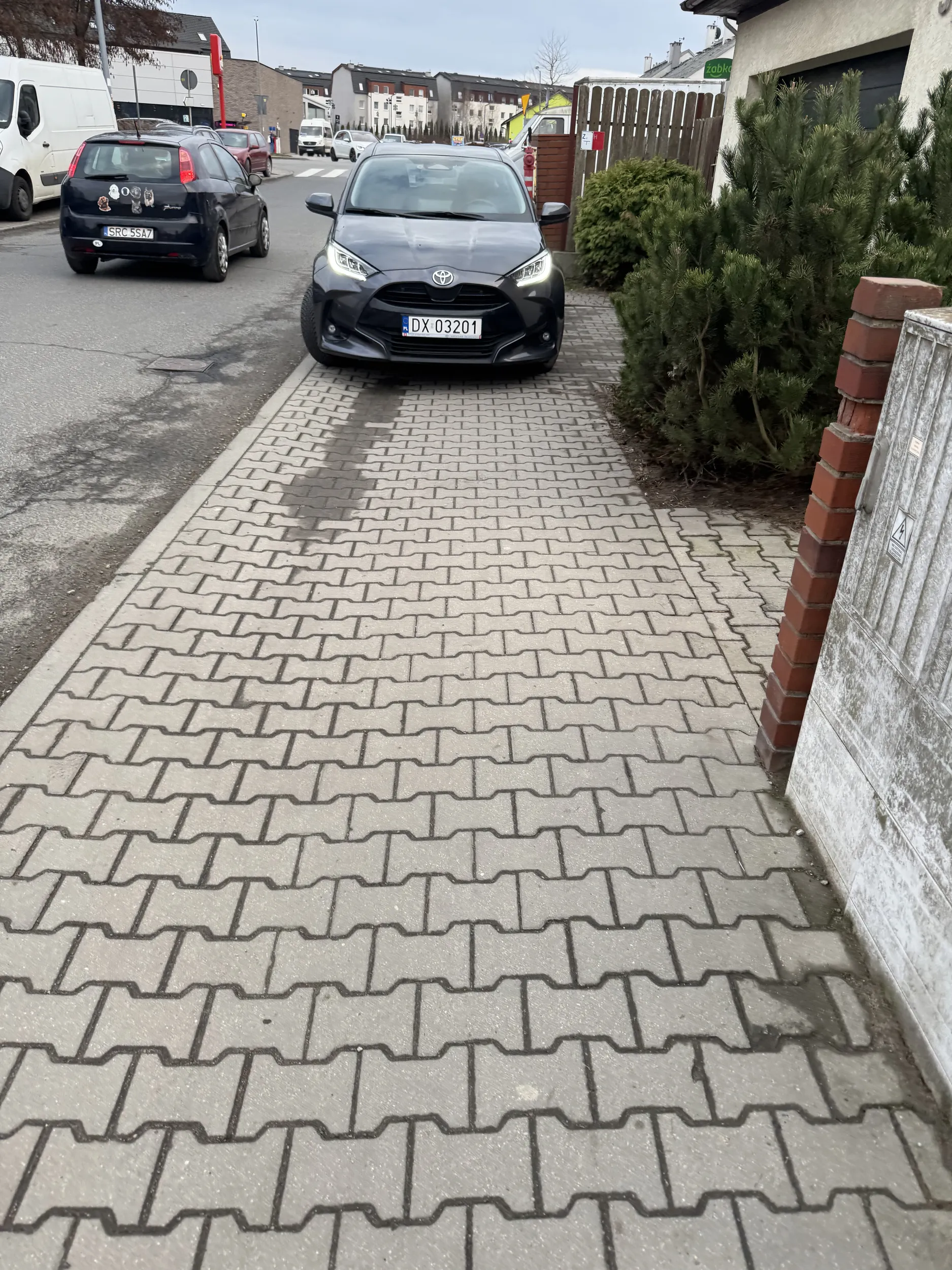 Geniusz notorycznie parkuje na chodniku przy wąskiej i ruchliwej ulicy, szczególnie w godzinach szczytu. Jaśnie pana trzeba omijać ulicą