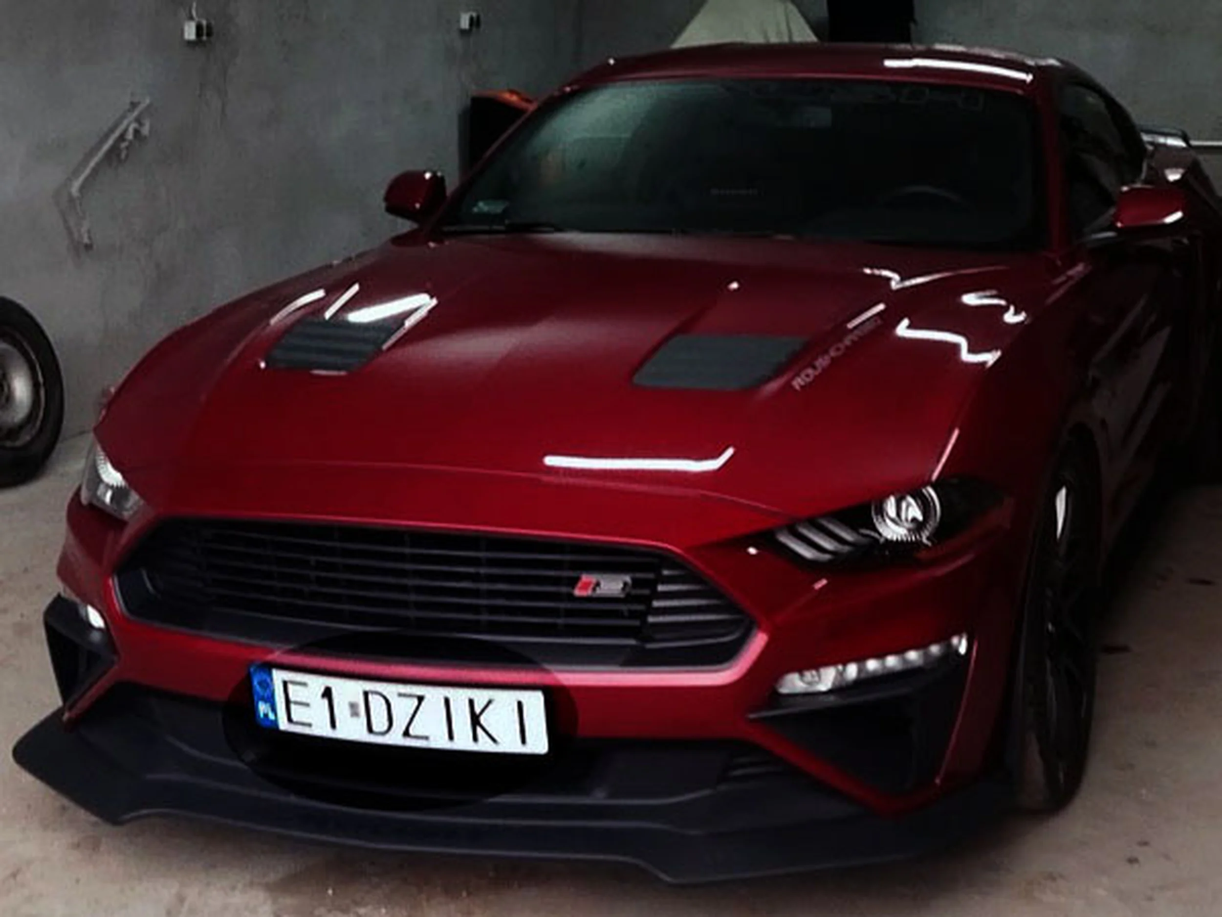 Fajny numer, blacha E1 DZIKI