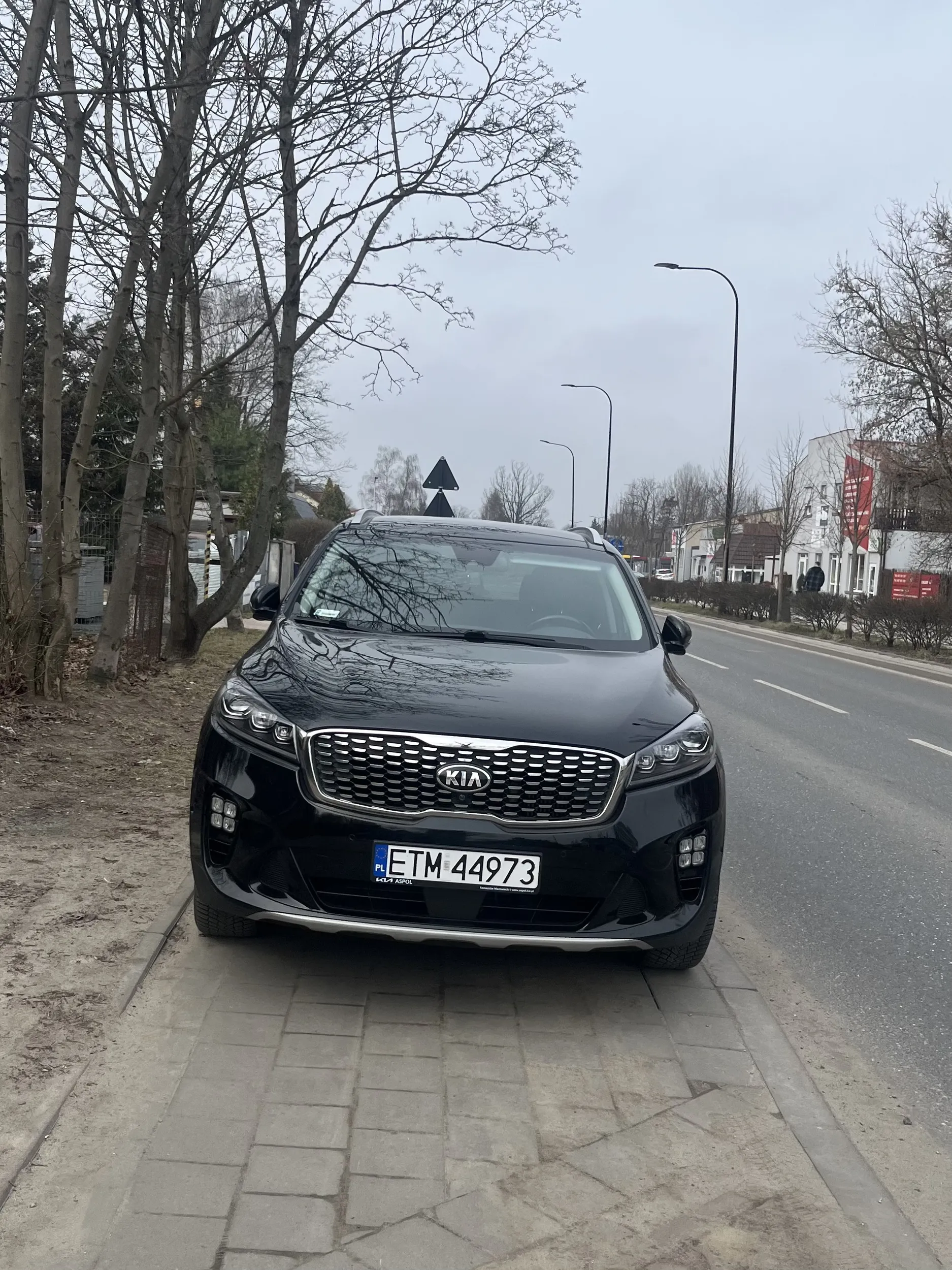 Oby piesi potrafili latać…