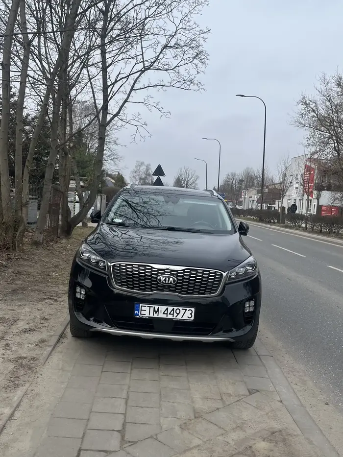 Oby piesi potrafili latać…