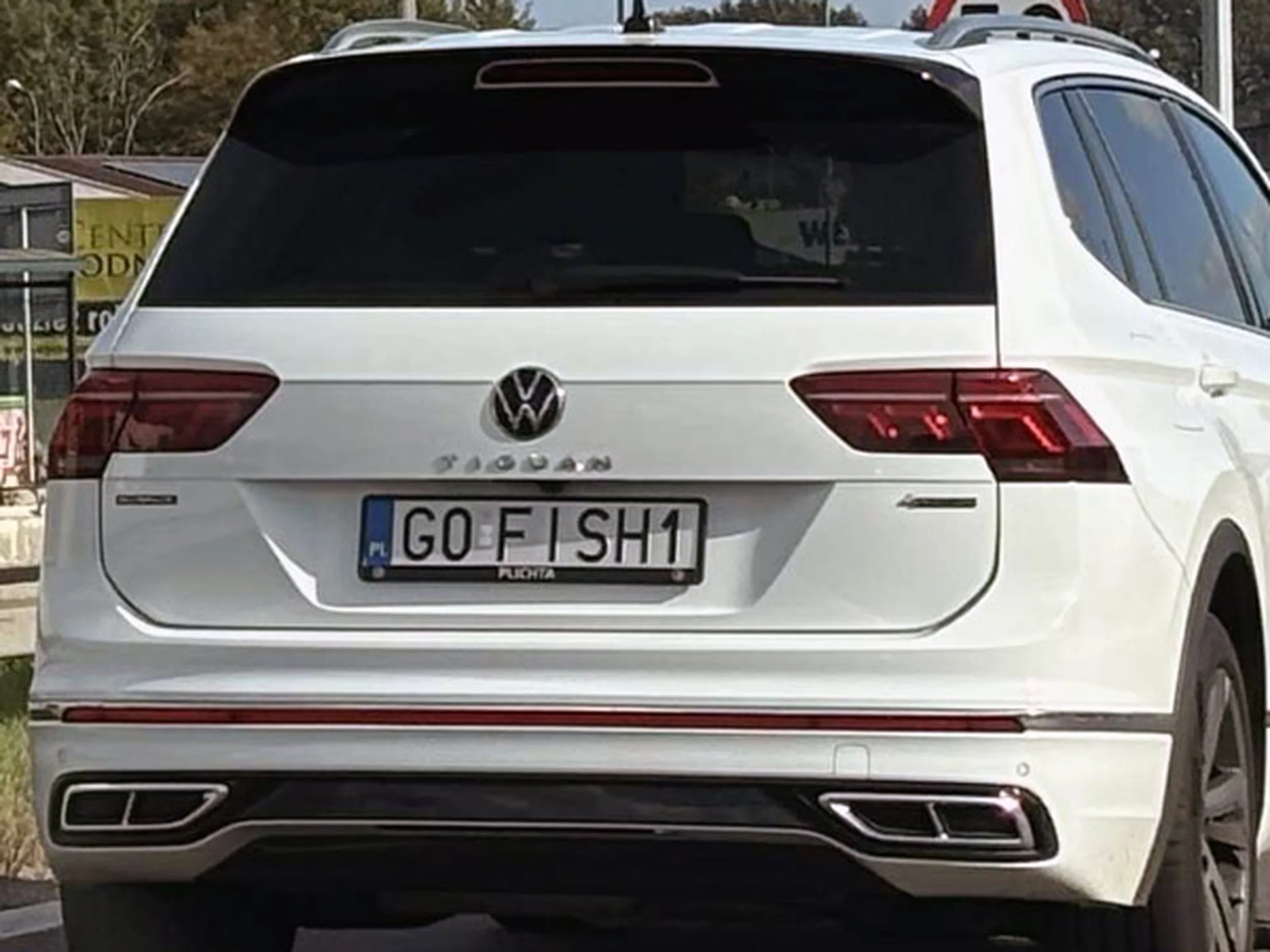 Fajny numer, blacha G0 FISH1