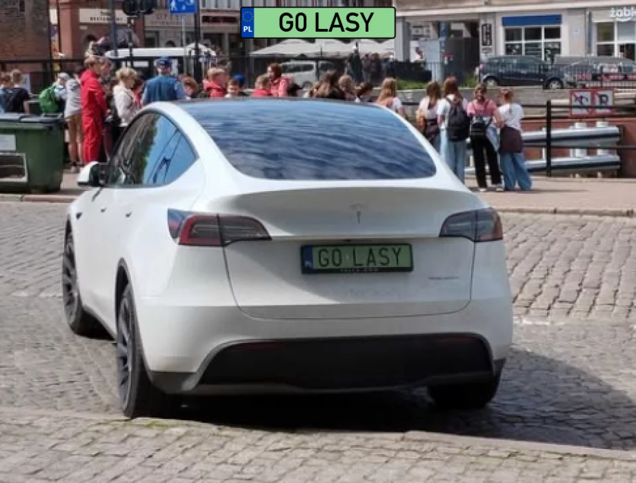 Panie władzo ja jestem leśniczy :)