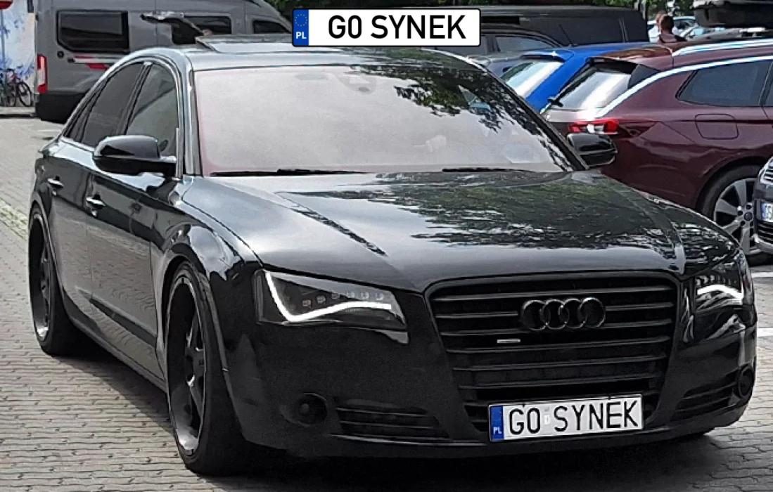 SYNEK