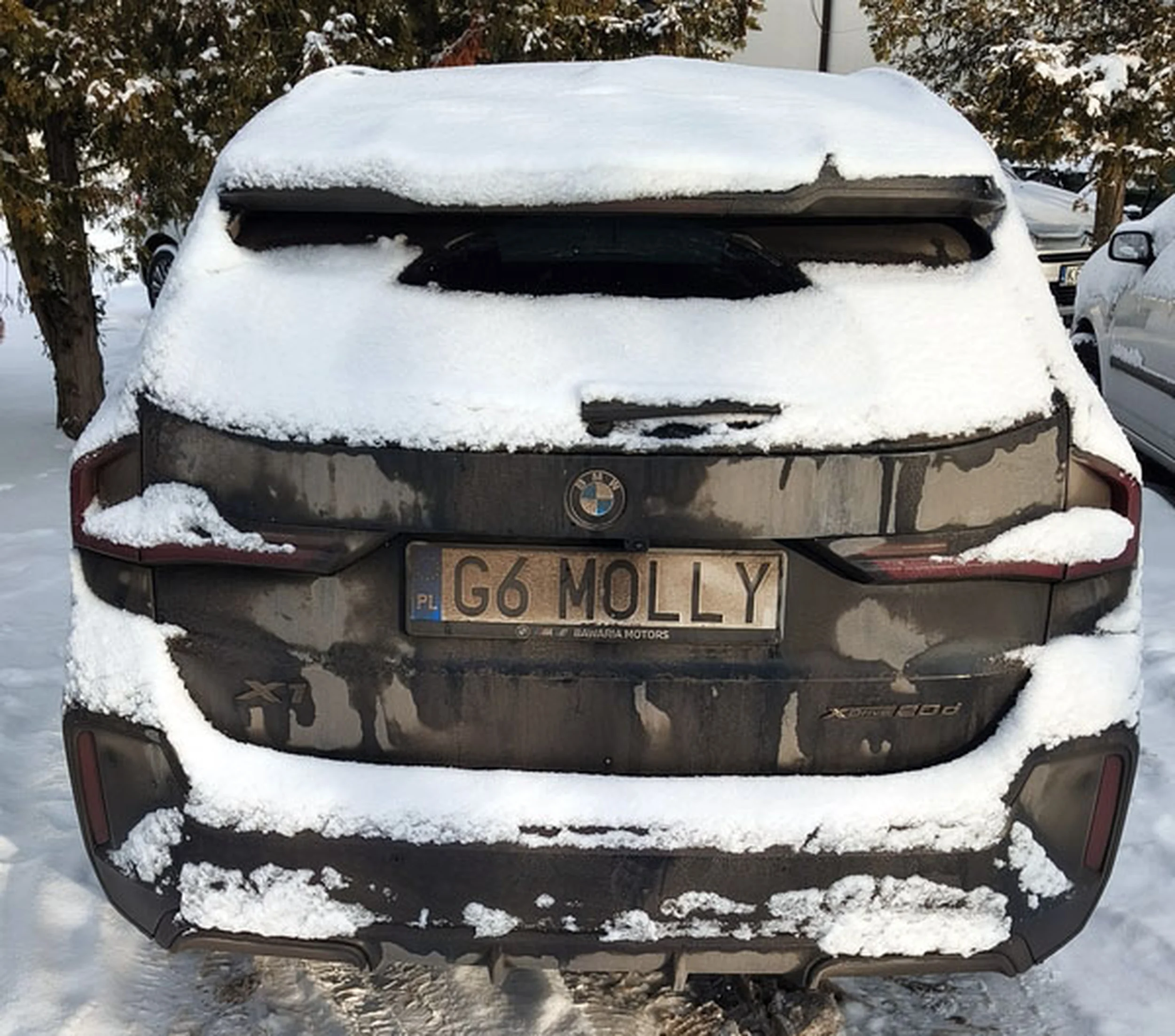 Fajny numer, blacha G6 MOLLY