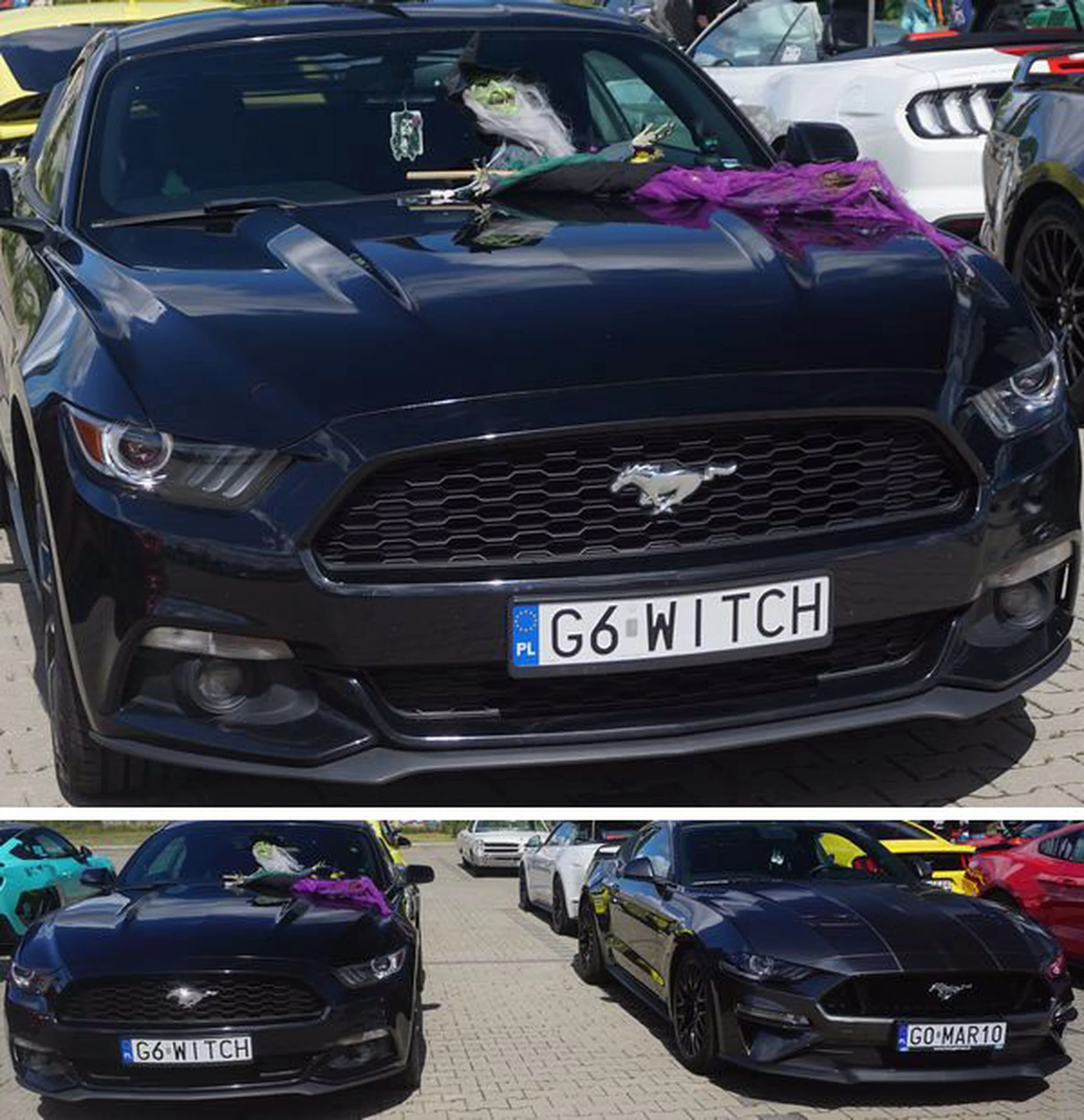 Fajny numer, blacha G6 WITCH