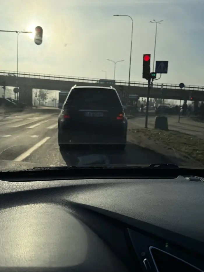 Baran prawie doprowadził do kolizji, wpychając się przed maskę