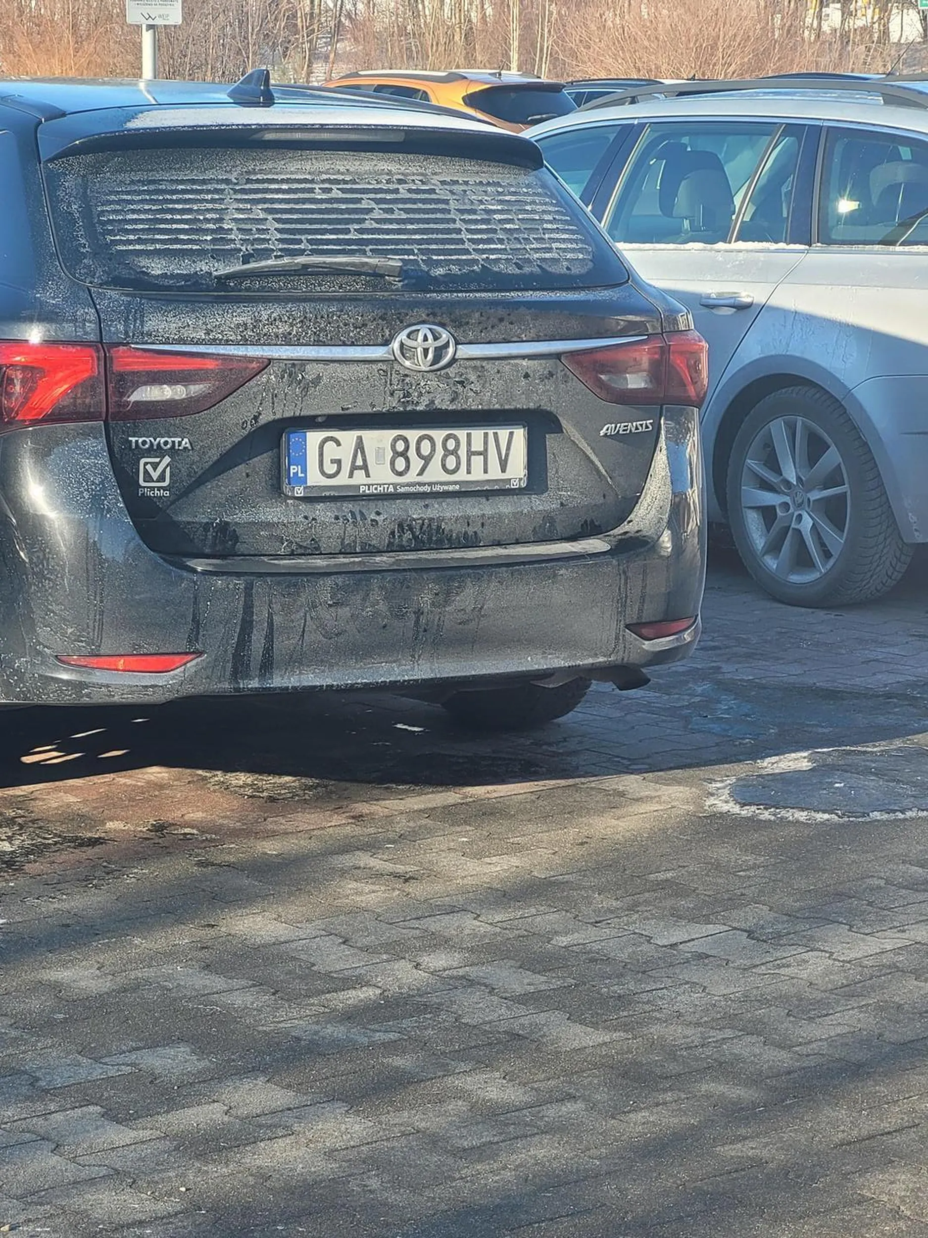 Agresor rzuca się na ludzi z łapami do bicia. Masz fart że nie chciało mi się wychodzić do ciebie.