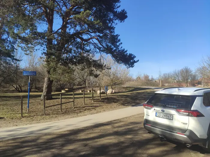 Jazda po chodniku, parking na zieleni. Wszystko w parku