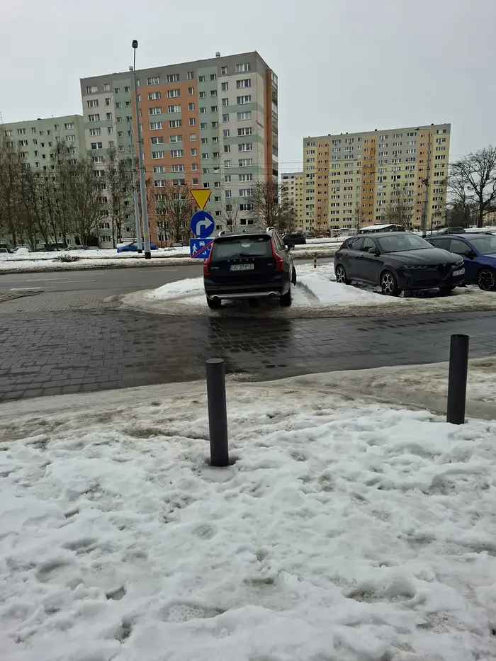 Naucz sie parkowac łamagi