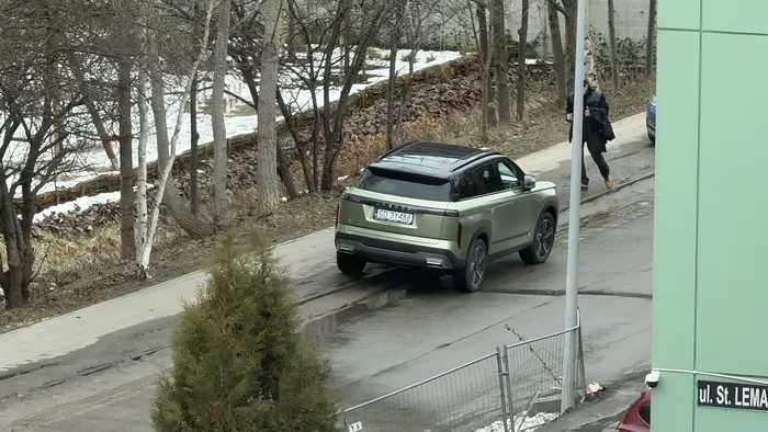 Parkowanie na zakazie zatrzymywania się