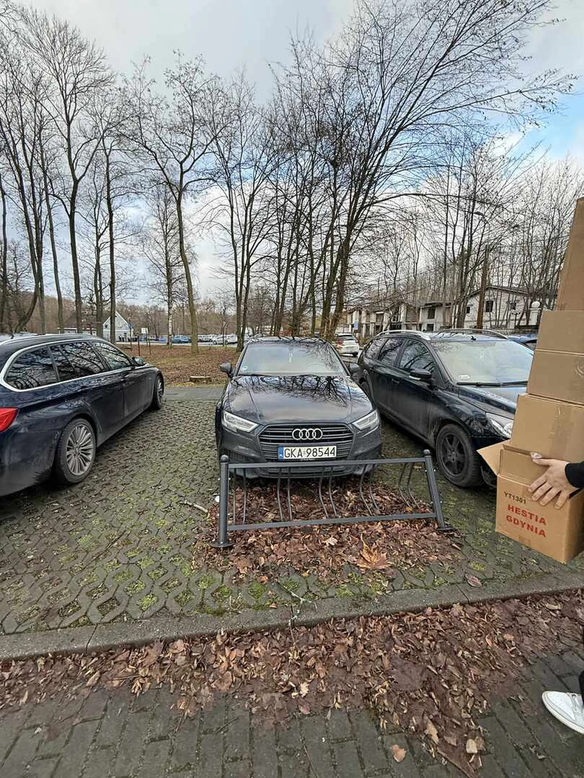 Ktoś mi wyjaśni co dzieje się w głowie „osoby” parkującej w ten sposób? Na jakie zaburzenia się skarży? Jakieś traumy z dzieciństwa czy po prostu poczucie zmarnowanego życia?