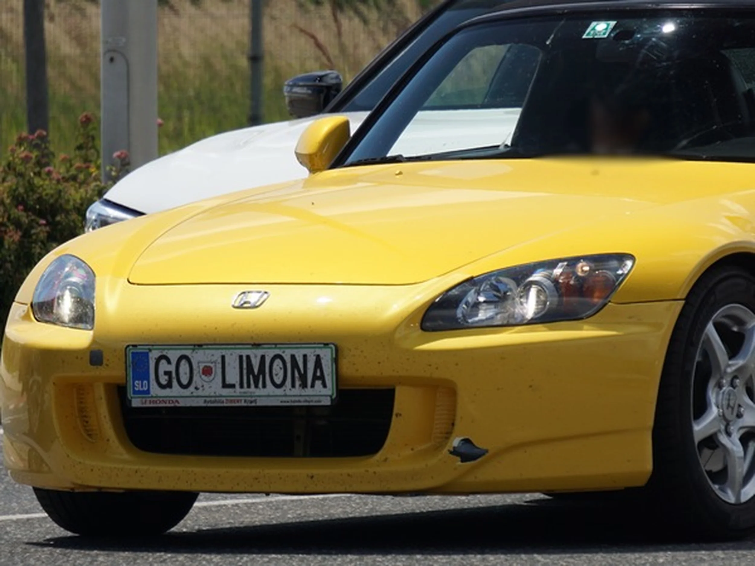 Fajny numer, blacha GO LIMONA