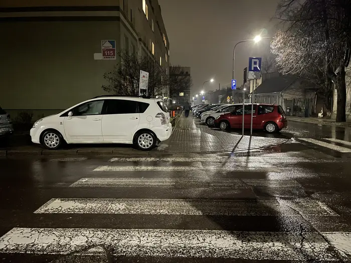 Prawidłowe parkowanie przerosło kierowcę. I to nie jedyna taka akcja.