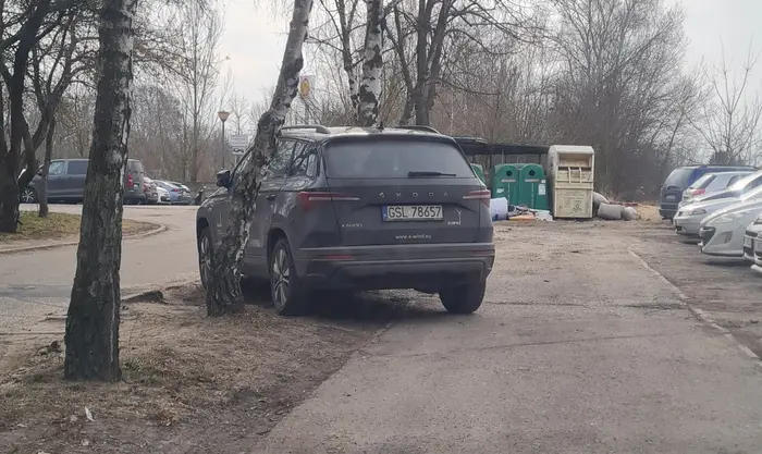 Zabieraj to pudło z trawinika. Parking na osiedlu Dębina w Poznaniu jest dla mieszkańców.