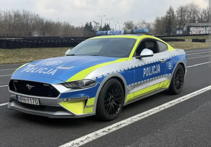 Pały (zdjęcie nie moje)