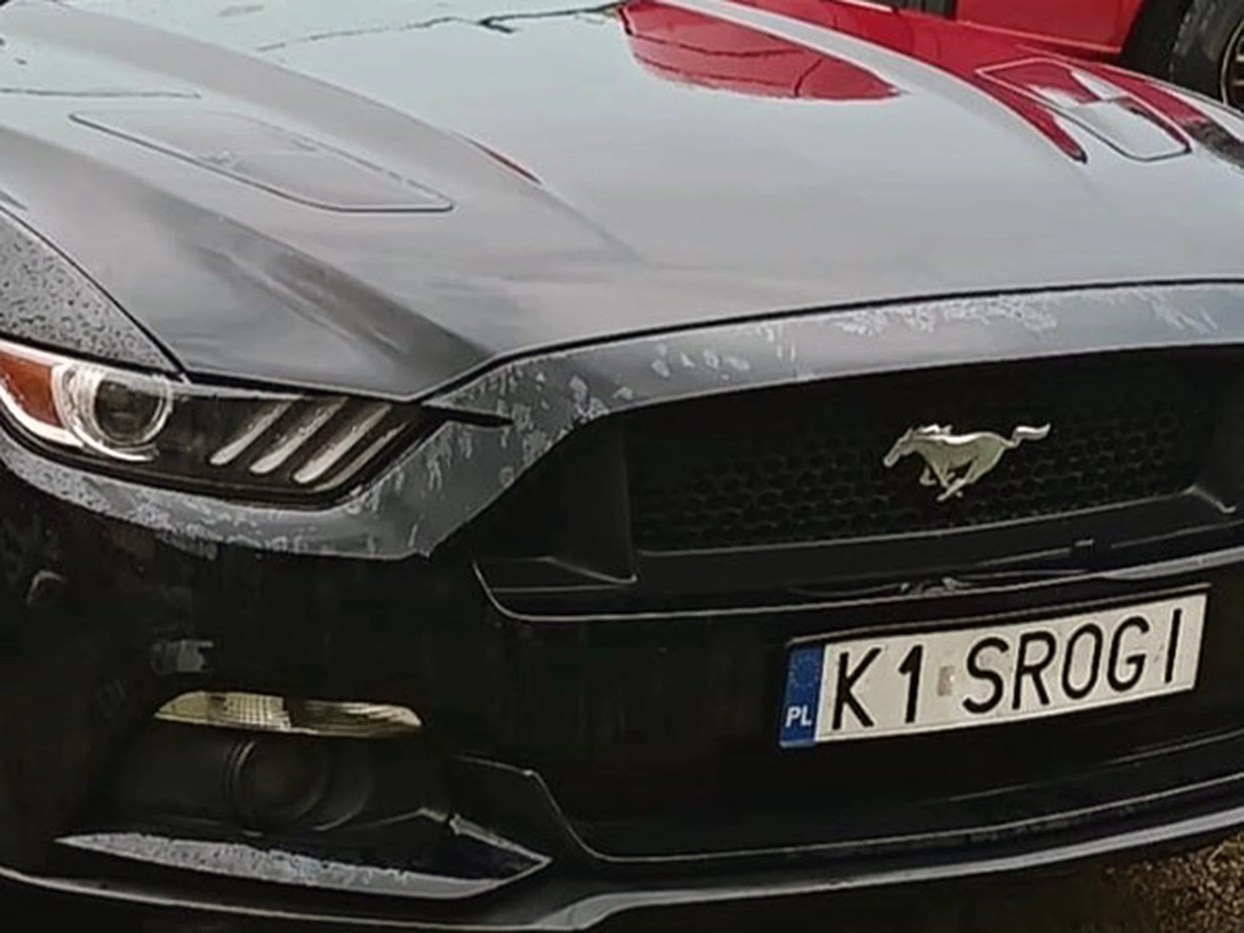 Fajny numer, blacha K1 SROGI