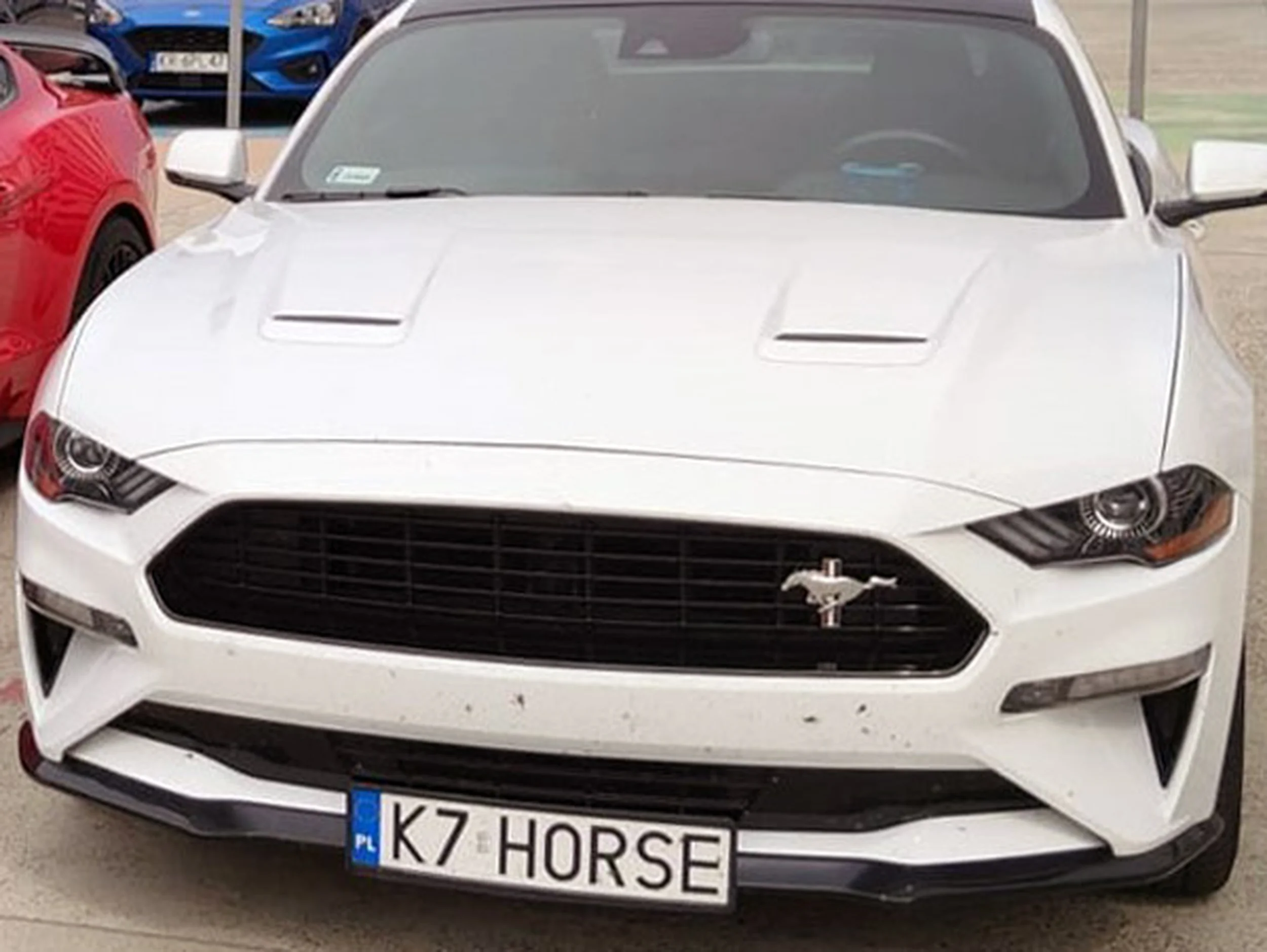 Fajny numer, blacha K7 HORSE