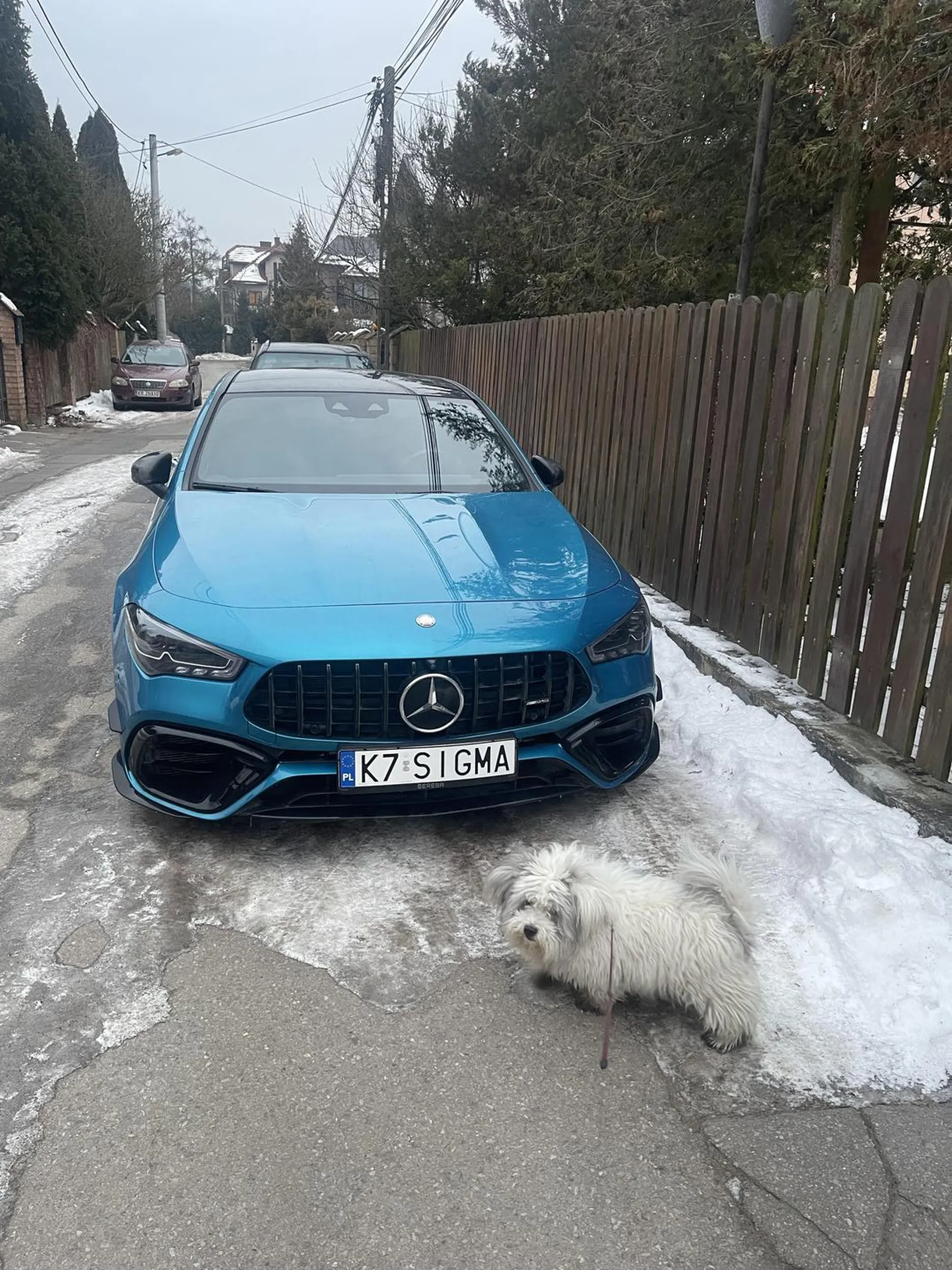 takie zjawisko na spacerku z pieskiem, ciekawe czy kierowca taki sigma jak merol ?