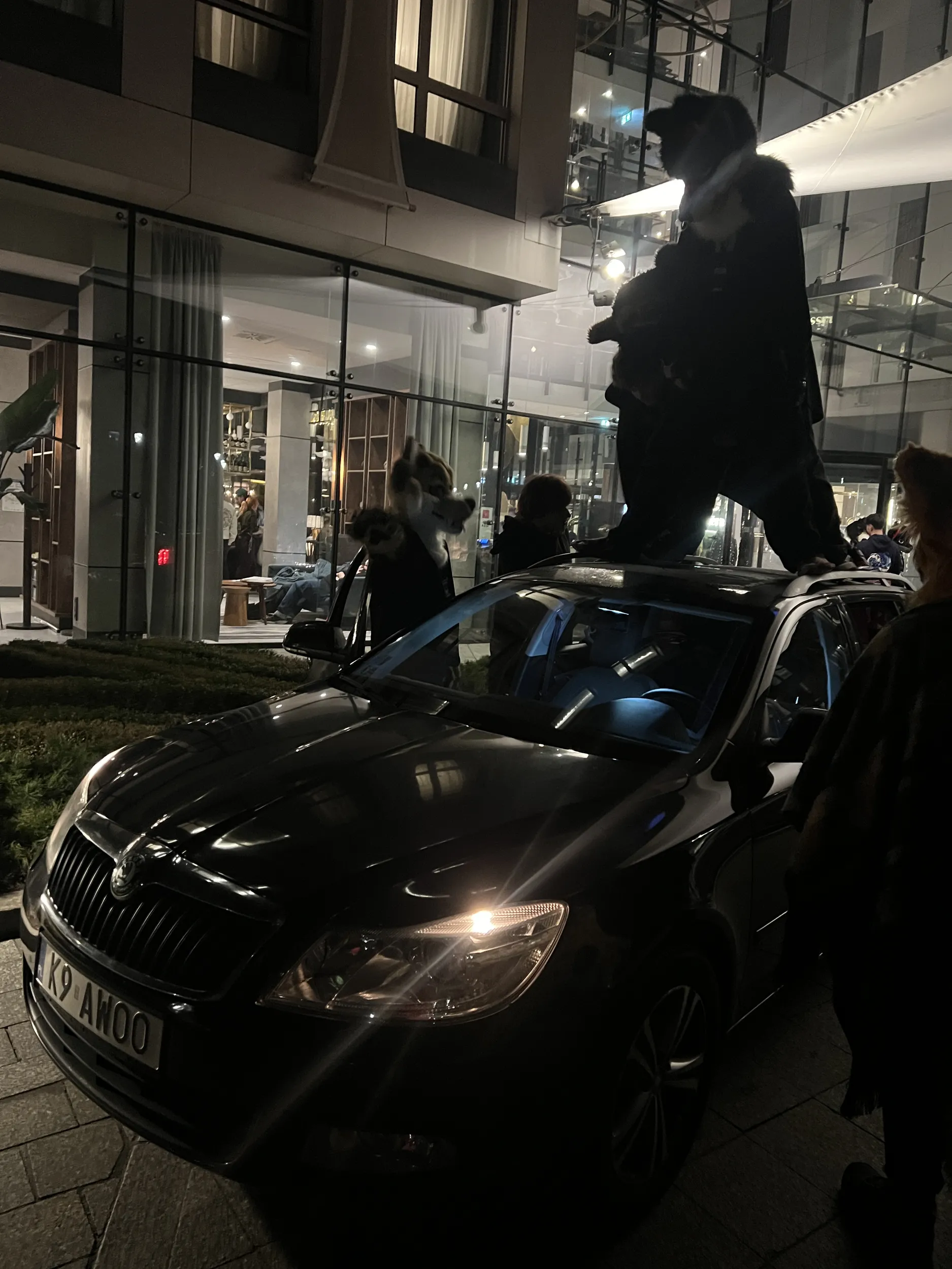 Ludzie patola w opór