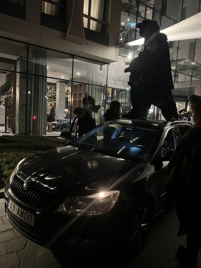 Ludzie patola w opór