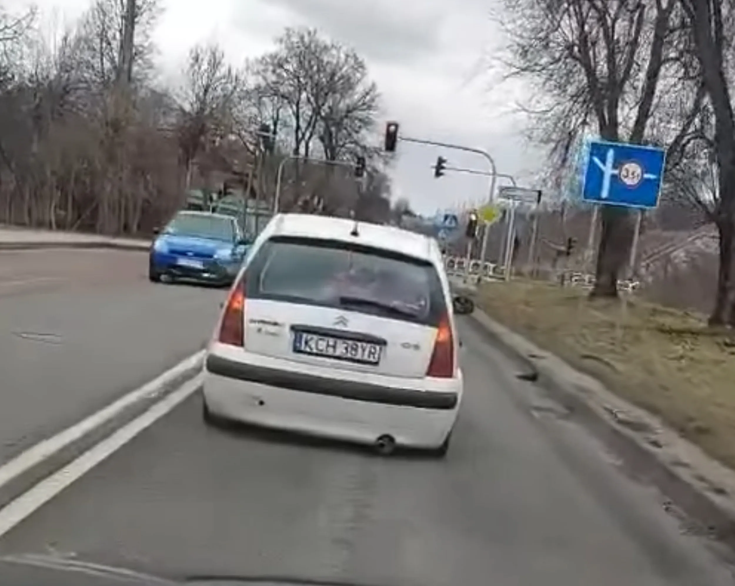 Szczur się nie przeciśnie elegancka gleba