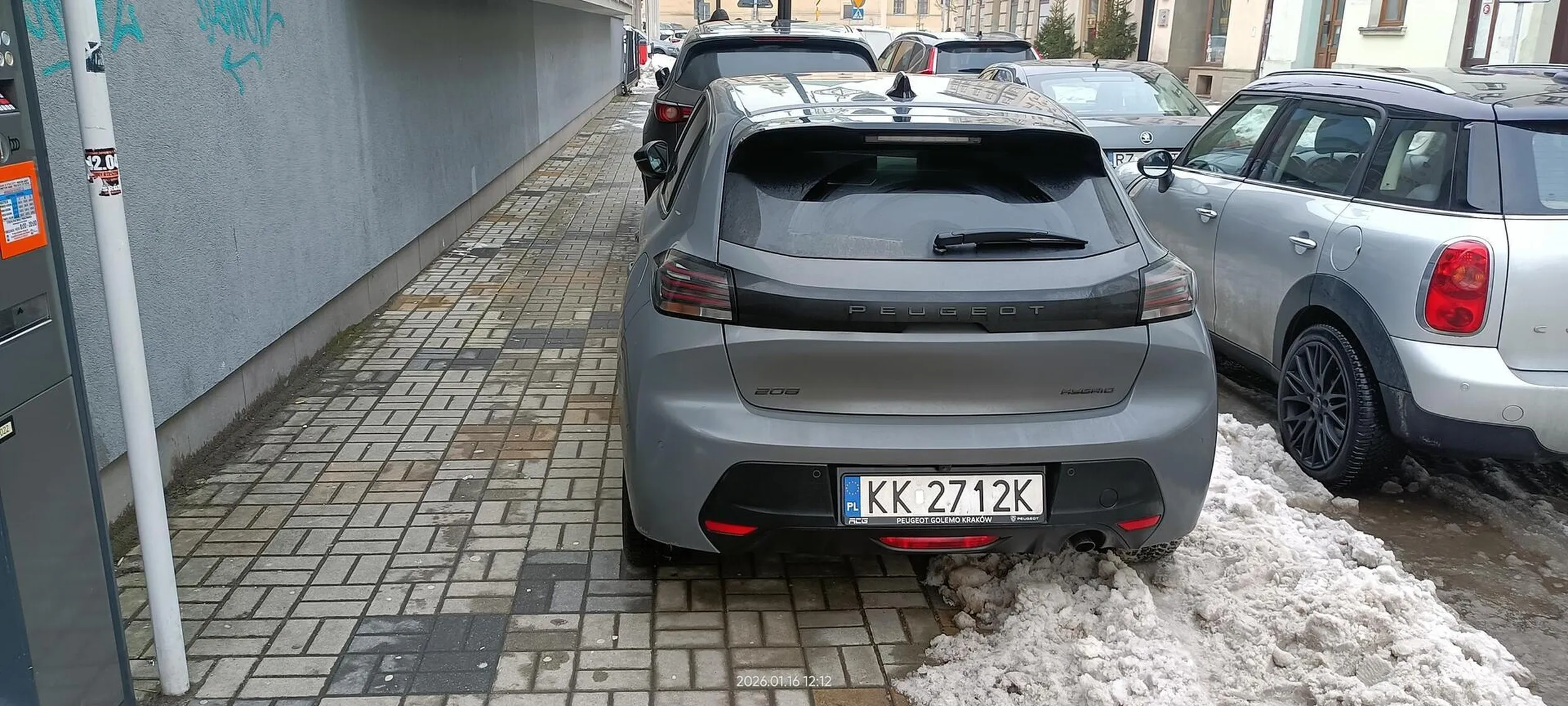 Święta krowa chodnikowa