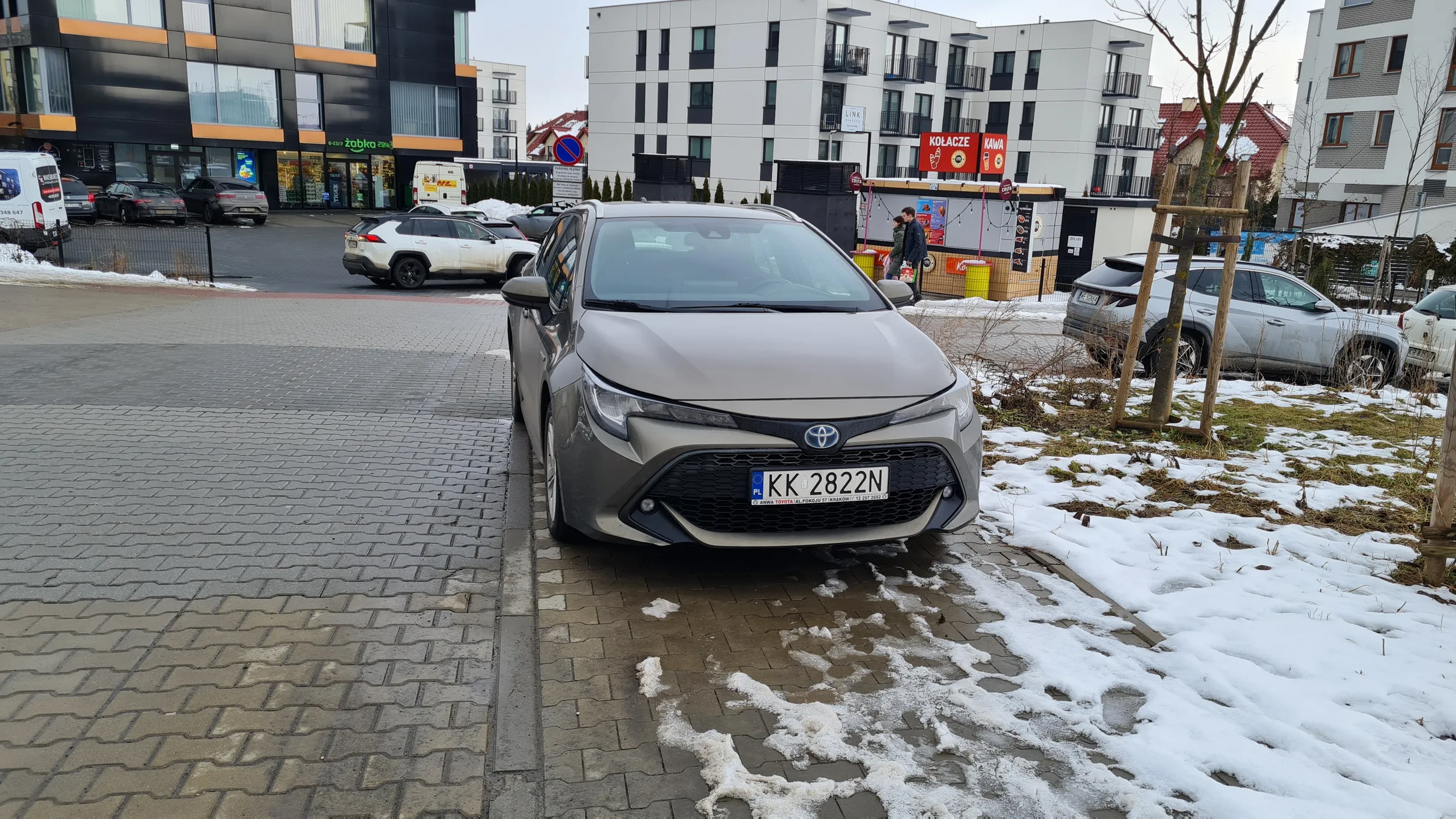 Gamoń zastawia cały chodnik