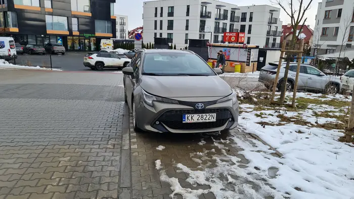 Gamoń zastawia cały chodnik