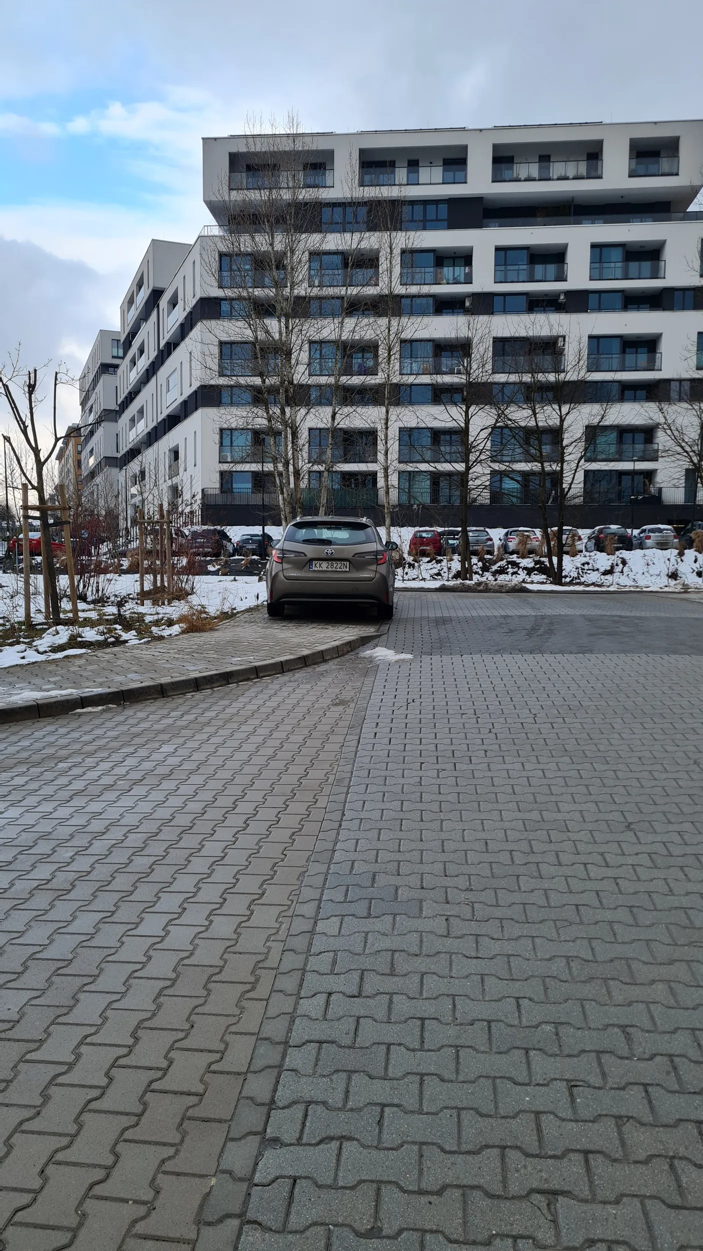 Gamoń zastawia cały chodnik