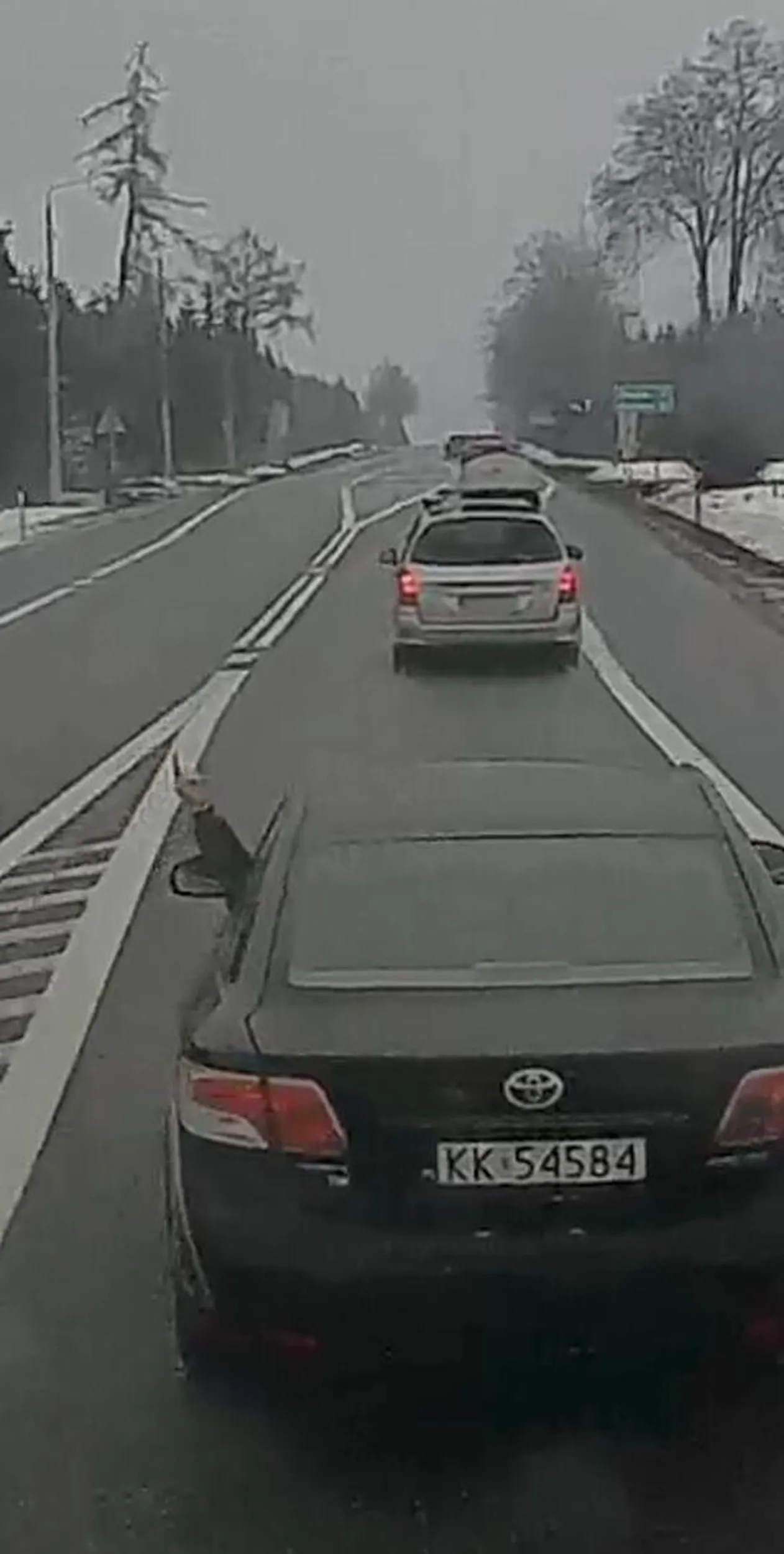 Cham za kierownicą. Buc