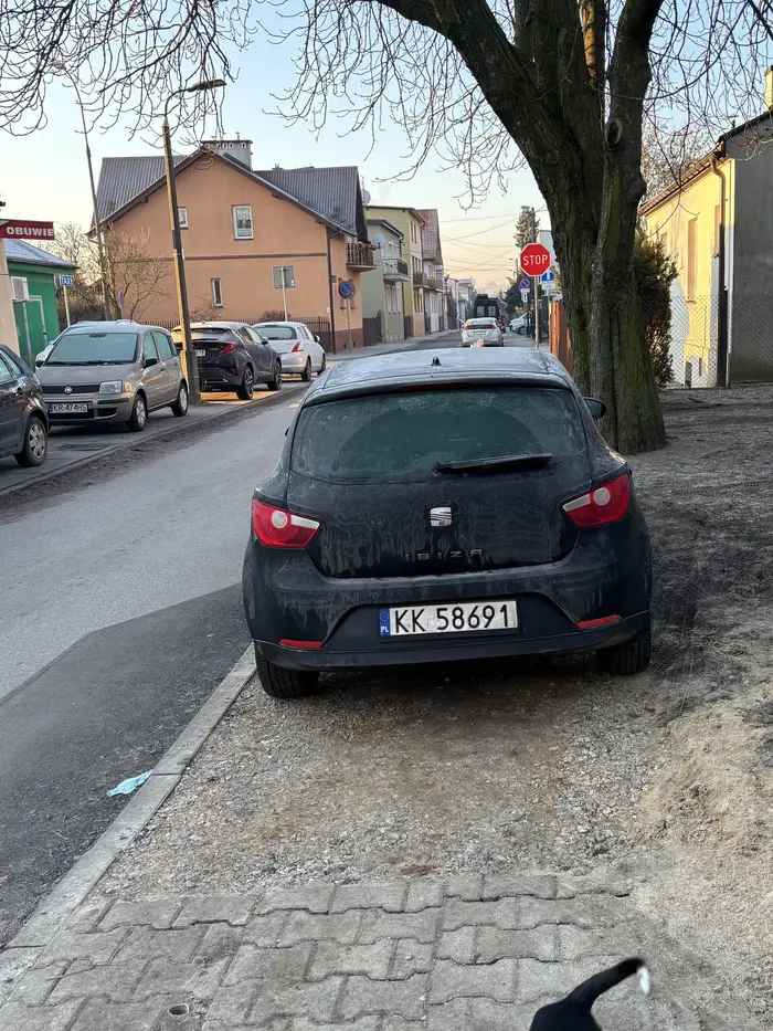 Jak nie ma kostki to już nie jest chodnik, więc mogę stawać