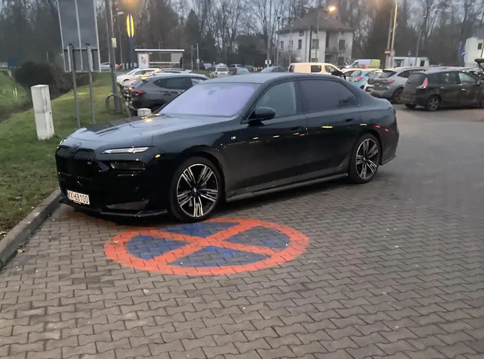 poważne braki w intelekcie i problemy ze wzrokiem