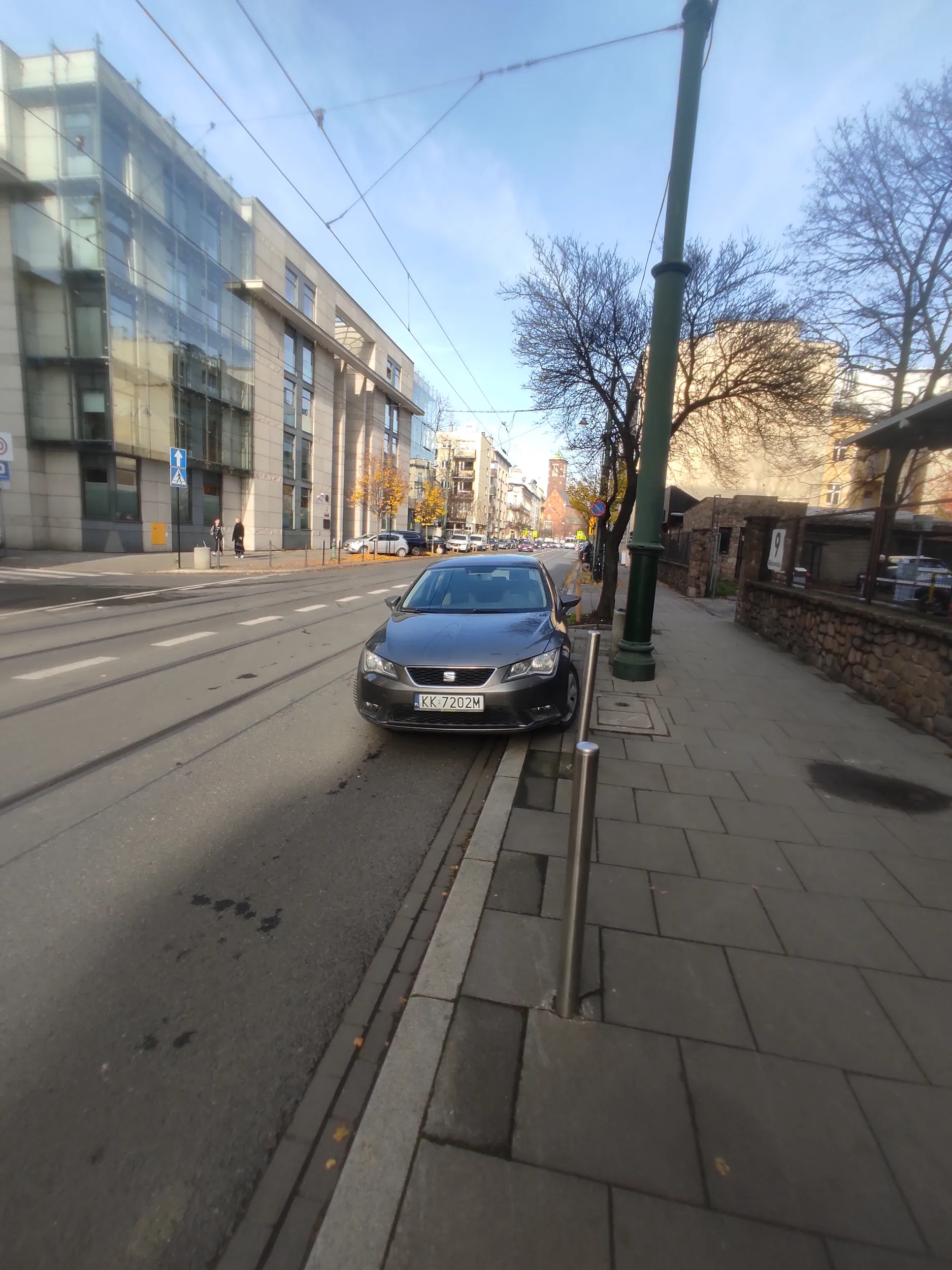 Stoi krówka na zakazie i w przeciwnym kierunku.