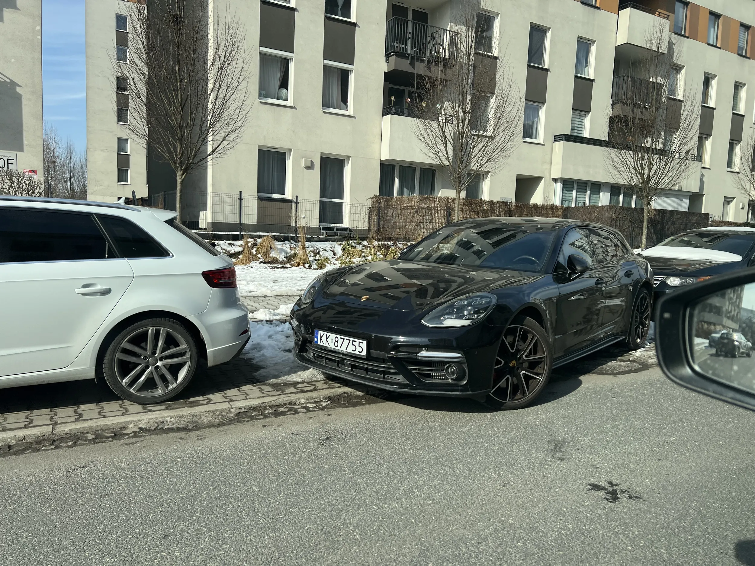 DRAMAT w wykonaniu prosiaka