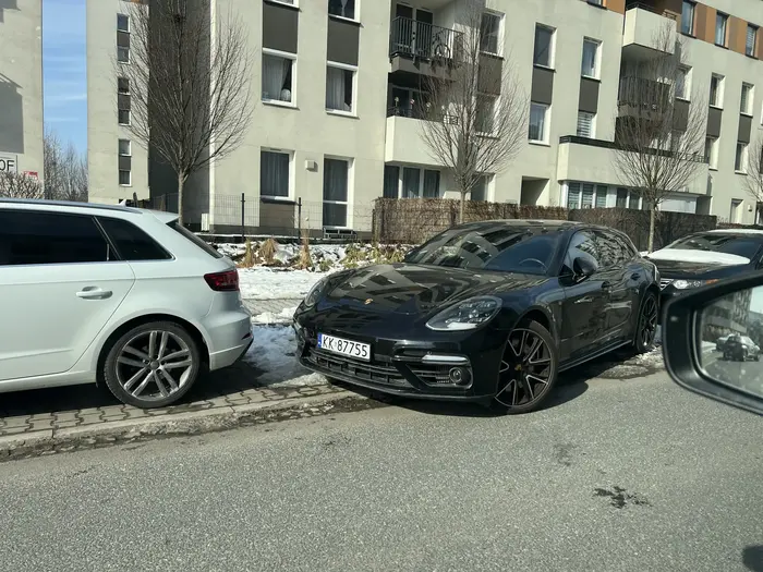 DRAMAT w wykonaniu prosiaka