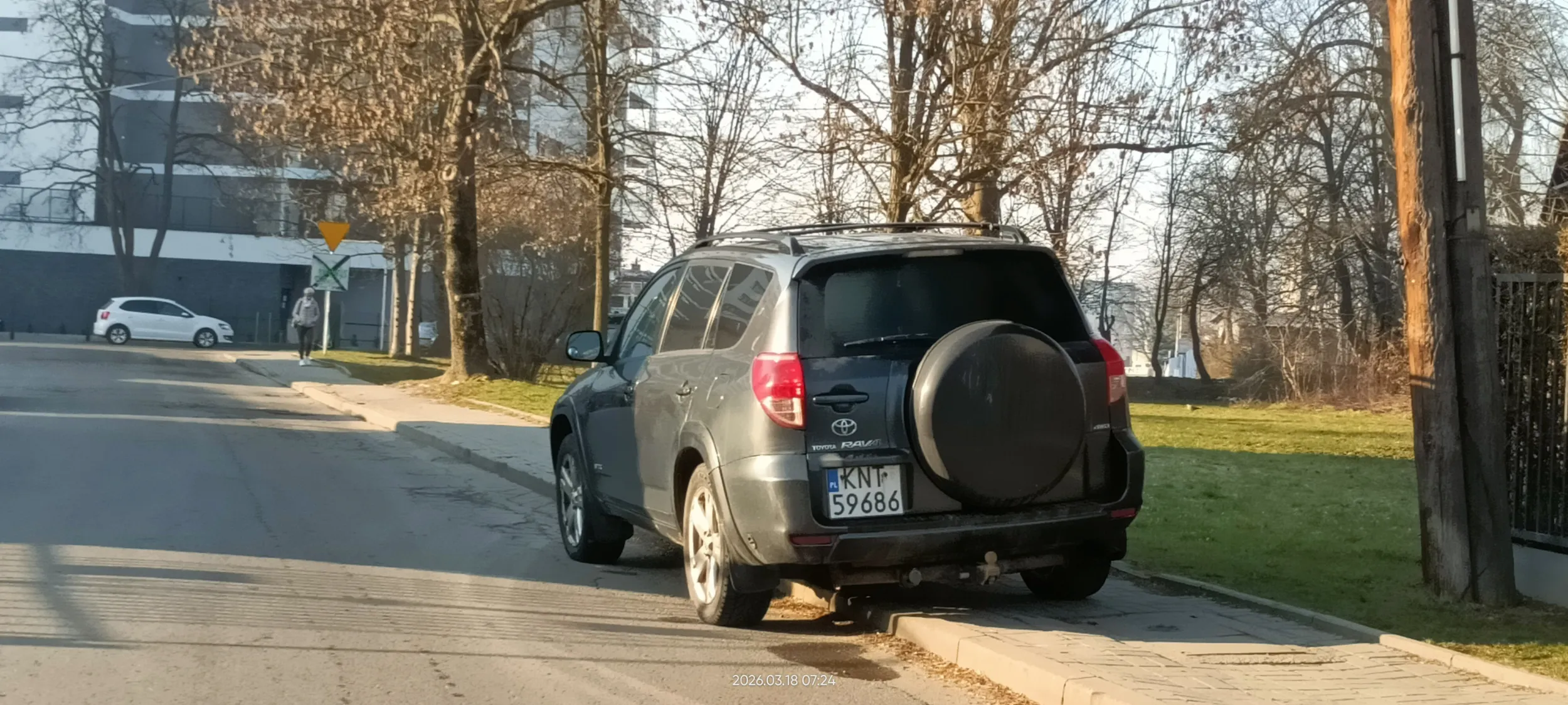 Święta krowa chodnikowa.