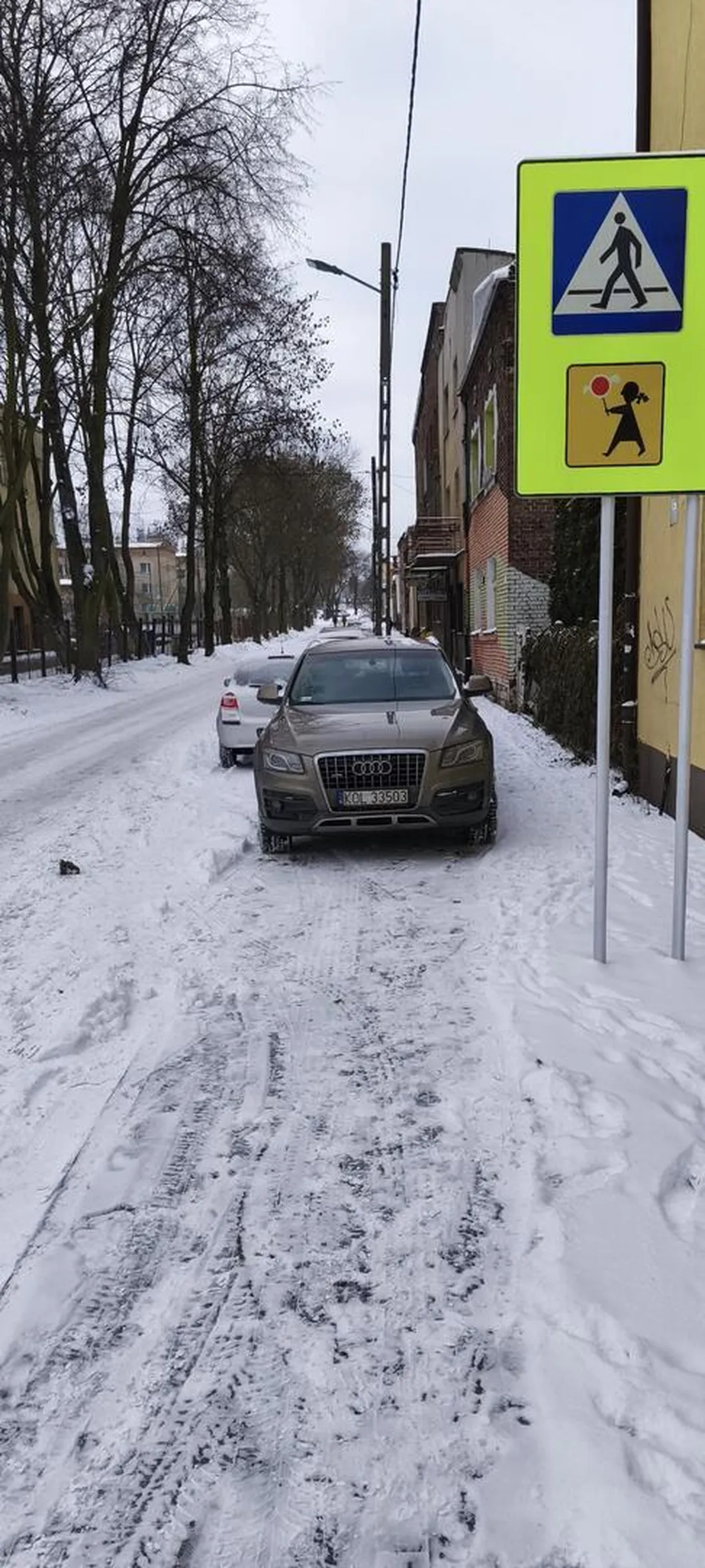 Parkuje na chodniku i przejściu dla pieszych. Z twarzy tej "kobiety" nie bije inteligencja.