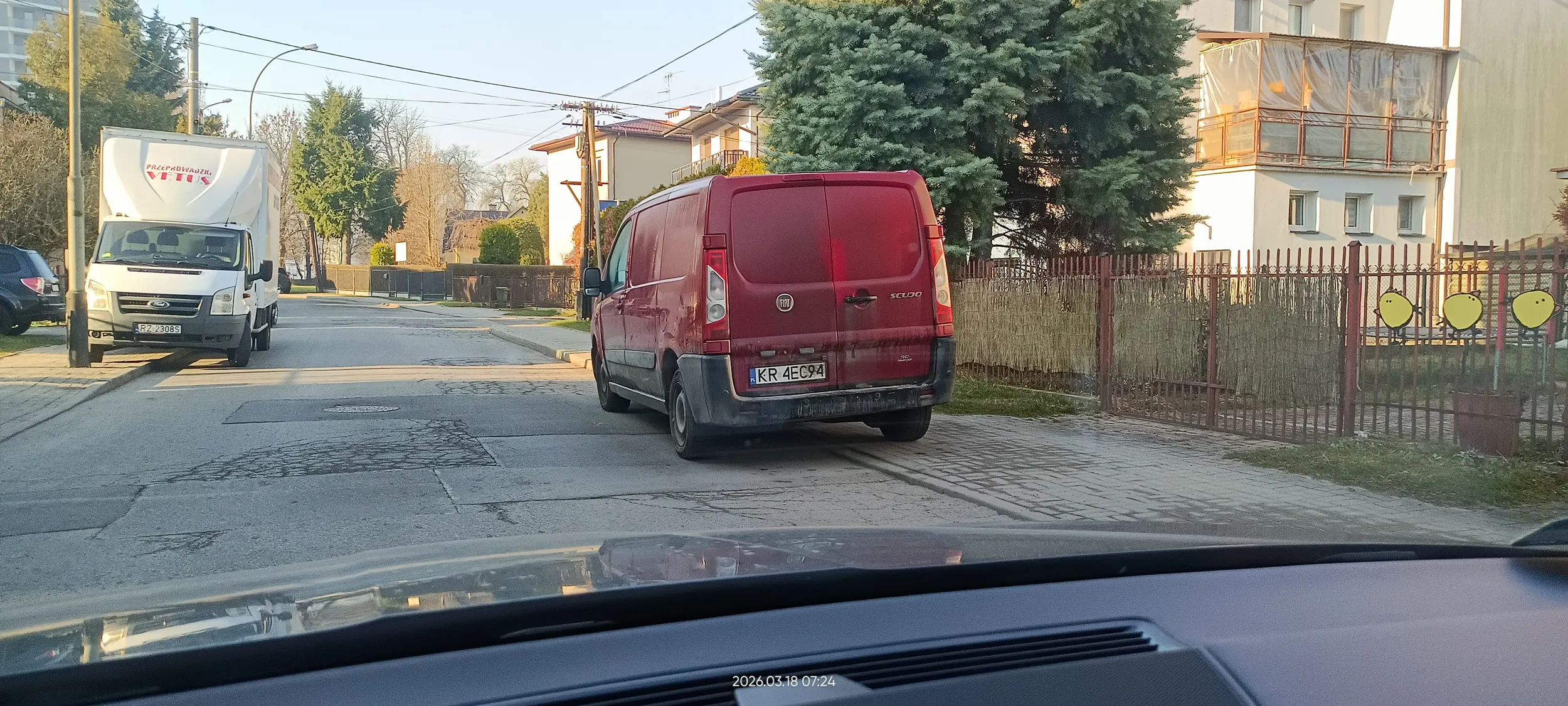 Święta krowa chodnikowa.