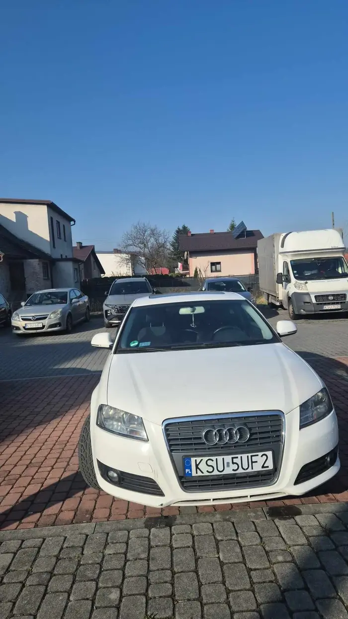 Naucz sie parkować albo oddaj prawko