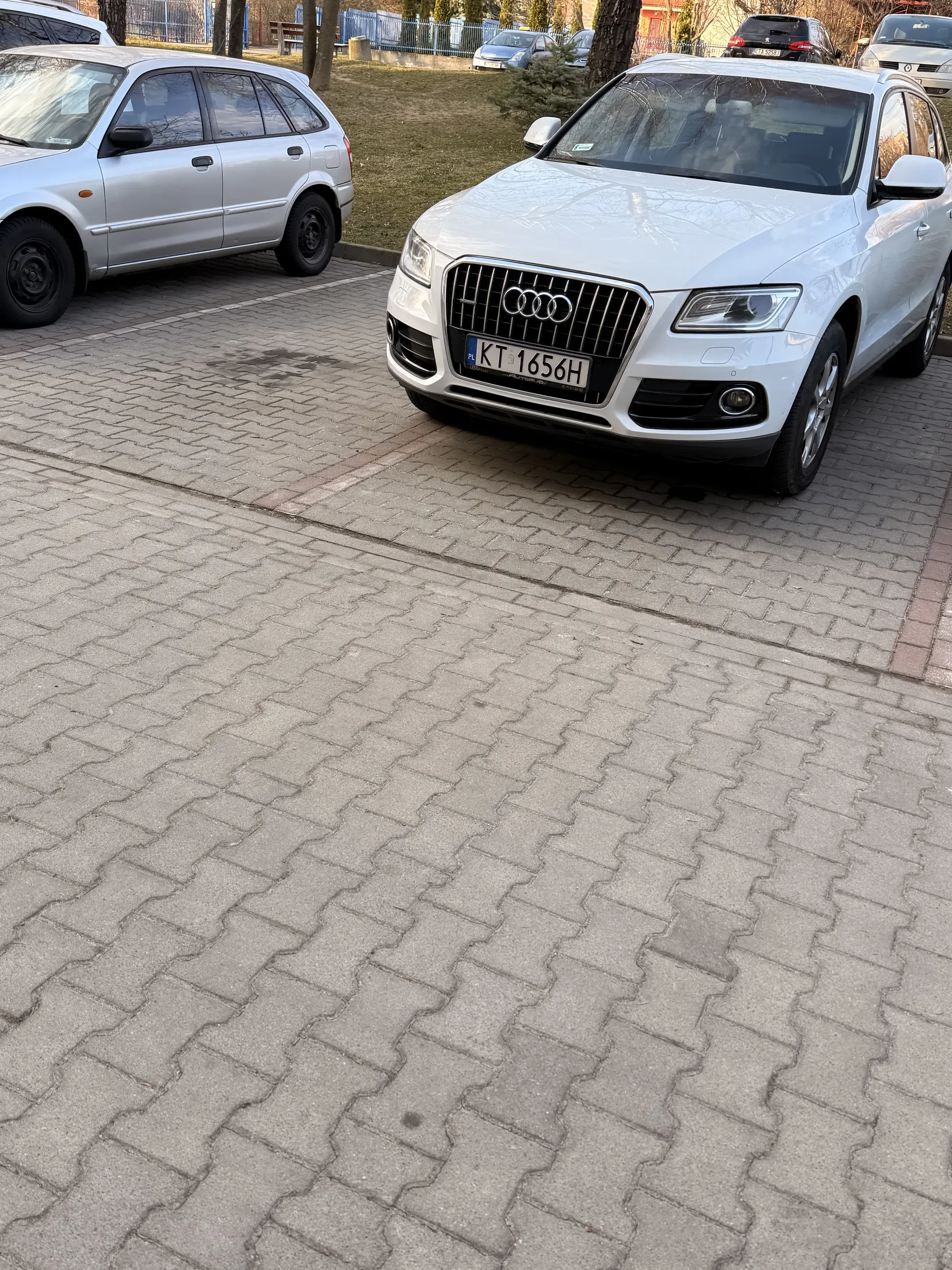 Kierowca audi pomylił miejsca parkingowe, ponieważ powinien zaparkować w miejscu dla niepełnosprawnych