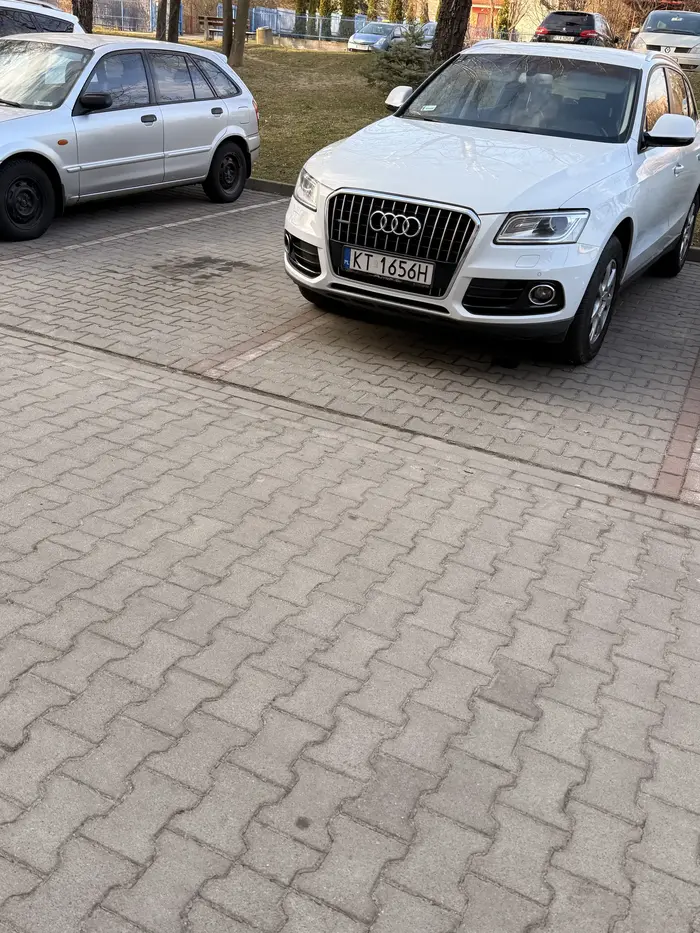 Kierowca audi pomylił miejsca parkingowe, ponieważ powinien zaparkować w miejscu dla niepełnosprawnych