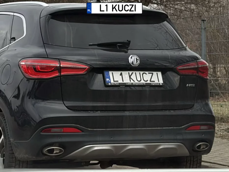 Kuczi czyli co?